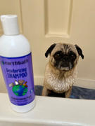 earthbath® Smelly Dog Set Review