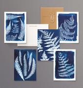 Paper Birch British Ferns Postcard Set Review