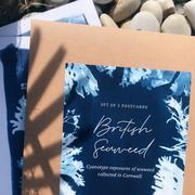 Paper Birch Postcards Gift Set ~ British Seaweed Review
