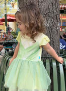 Posh Peanut Disney Belle Tulle Dress Review