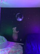 Wall Played Moon LED Wall Art Review