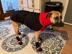 Chilly Dogs Inc Original Fleece Lined Muttluks Dog Boots DELUXE Review