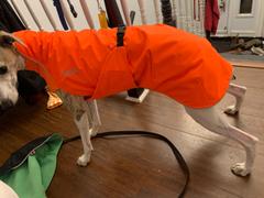 Chilly Dogs Inc PREORDER! Northern Blazer in high-visibility Blaze Orange Review