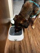 FanaDog.hu FanaDog Itatótál 2 db Review