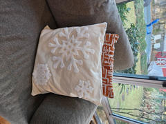 Quarter Moon Bazaar Ivory Snowflake Embroidered Pillow Cover Review