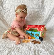 Bigjigs Toys Farmhouse Sorter Review