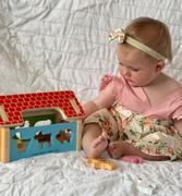 Bigjigs Toys Farmhouse Sorter Review