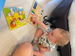 Bigjigs Toys My First Peg Puzzle (Pets) Review