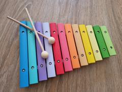 Bigjigs Toys Snazzy Xylophone Review