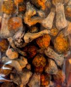 Get Magic Mushrooms Bluey Vuitton Magic Mushrooms Review