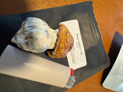 Get Magic Mushrooms Bluey Vuitton Magic Mushrooms Review