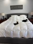 Feathered Friends Bavarian 700 Down Comforter Review