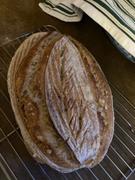 Sunrise Flour Mill Deluxe Bread Kit (with bonus Sourdough Starter) Review