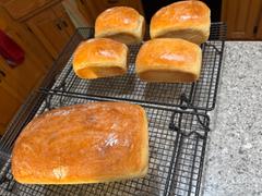 Sunrise Flour Mill Heritage Bread Blend Flour Review