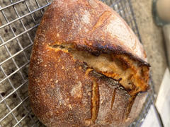 Sunrise Flour Mill Heritage Whole Wheat Flour Review
