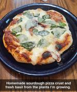 Sunrise Flour Mill Heritage Pizza Flour Review