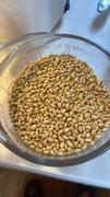 Sunrise Flour Mill Heritage Hard Red Wheat Berries Review
