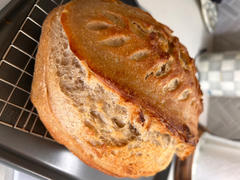 Sunrise Flour Mill Sourdough Starter Review