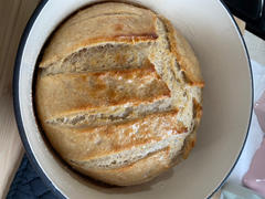 Sunrise Flour Mill Sourdough Starter Review