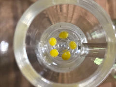 Glass Jacks Pipe Screens