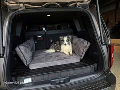 Big Barker Barker SUV Bed Review