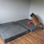 Big Barker Big Barker Toys Review