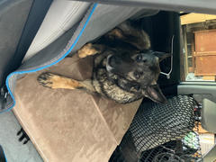 Big Barker Travel Bed - NEW Review