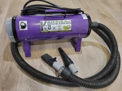 Lynn Professional  Review