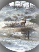 Christensen Arms Mesa Review