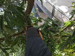 Clogger US Clogger Spider Women's Climbing and Work Pants (Not Chainsaw Protective) Review