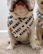 & Mutts Co. mama's boy dog bandana Review