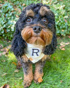 & Mutts Co. NEW! ugly sweater: reindeer edition dog bandana Review