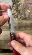 OPINEL USA No.07 Outdoor Kids Folding Knife Review
