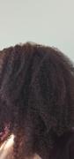 Heat Free® Hair Tight Kurls (4A) Clip-Ins Review