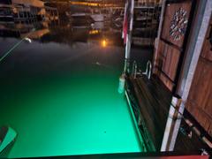 Green Blob Outdoors Build Your Blob LED Underwater Fishing Light Review