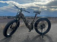 Mokwheel Bikes Germany Obsidian ST Review