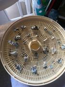 SporesMD Hill Billy Mushroom Liquid Culture (10ml) Review