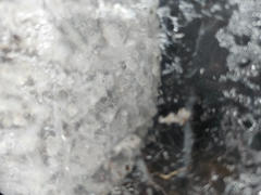 SporesMD Enigma Isolated Mushroom Liquid Culture (10ml) Review