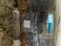 SporesMD Grow Bag 5lb Review
