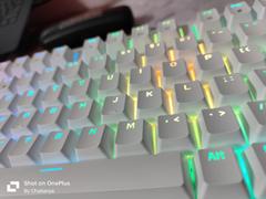 Cosmic Byte Cosmic Byte Phantom Gasket Mechanical Wired Swappable Keyboard with PreLubed Switches Review