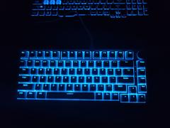 Cosmic Byte Cosmic Byte Phantom TKL Gasket Mechanical Wired Swappable Keyboard with PreLubed Switches Review