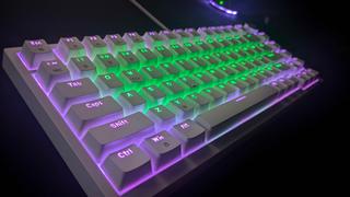 Cosmic Byte Cosmic Byte Phantom TKL Gasket Mechanical Wired Swappable Keyboard with PreLubed Switches Review