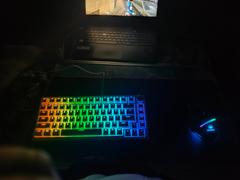 Cosmic Byte Cosmic Byte Phantom TKL Gasket Mechanical Wired Swappable Keyboard with PreLubed Switches Review