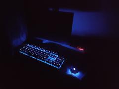 Cosmic Byte Cosmic Byte CB-GK-24 Equinox Alturas Mechanical Keyboard with Upgraded with Swappable Outemu Blue Switches (Black) Review