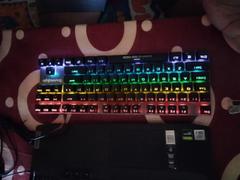 Cosmic Byte Certified Refurbished Cosmic Byte Pandora TKL Mechanical Keyboard (Non-Swappable) Review