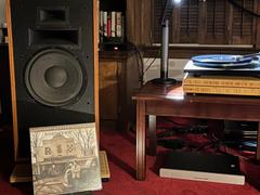 Elusive Disc Randy Travis Storms Of Life Numbered Limited Edition 180g LP Review