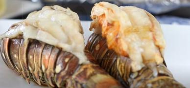 Meat N' Bone Australian Lobster Tail | Wild Caught Review