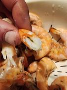 Meat N' Bone Key West Pink Shrimp | U10-12 Review