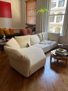 Sohnne Support Standard Sofa Review