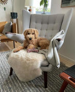 Sohnne Support Papa Bear Chair and Ottoman Replica Review
